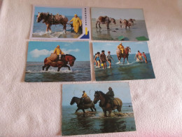 LOT DE 5 CARTES "PECHEURS DE CREVETTES A CHEVAL" ... - Visvangst