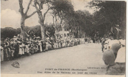 Martinique - FORT DE FRANCE : Una Allée De La Savane Un Jour De Revue ( Cachet Militaire ) - Fort De France