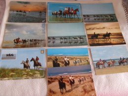 LOT DE 10 CARTES "PROMENADE  A CHEVAL AU  BORD DE MER" ... - Horses