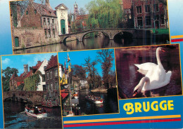 Belgium Brugge Chanel - Brugge