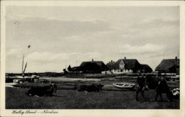 CPA Hallig Oland Nordfriesland, Panorama - Other & Unclassified