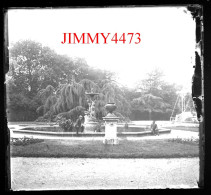 Luçon - Le Jardin Dumaine - Plaque De Verre En Négatif - Taille 59 X 65 Mlls - Glass Slides