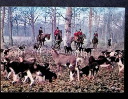 Cp, Sports, Chasse à Courre, L'Hallali, Hunting, Vierge, Ed. Combier, Chasseurs, Cavaliers, Chiens, Cerf, Chevaux - Chasse