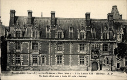 CPA Blois Loir Et Cher, Chateau, Aile Louis XII, Entree - Autres & Non Classés