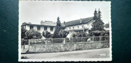 87 , Saint Jouvent , L'usine Cardeau , Conserves-salaison - Sonstige & Ohne Zuordnung