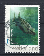 Netherlands Nederland Niederlande Holanda Pays Bas Used ; Vissen Fish Poisson Pescado Vis Snoek - Fische