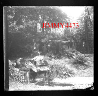 Luçon - Jardin Dumaine - La Cascade - Plaque De Verre En Négatif - Taille 59 X 65 Mlls - Glass Slides