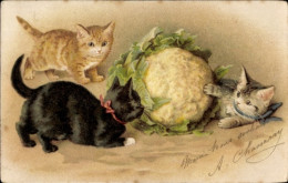 Lithographie Drei Junge Katzen, Blumenkohl - Autres & Non Classés