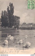 SUISSE GENEVE LES CYGNES DE L'ILE ROUSSEAU - Genève