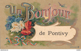 56 UN BONJOUR DE PONTIVY - Pontivy