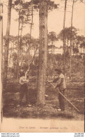 40 DANS LES LANDES RESINIERS GEMMANT LES PINS - Landbouwers