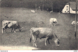 SCENES ET TYPES DES PYRENEES VACHES AU PATURAGE - Allevamenti