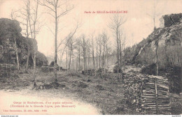 RARE  72 FORET DE SILLE LE GUILLAUME GORGE DE ROCHEBRUNE D'UN ASPECT SOLITAIRE - Sille Le Guillaume