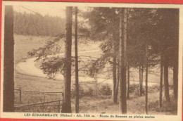 Les Echarmeaux Roiute De Roanne En Pleins Sapins - Andere & Zonder Classificatie