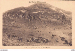 15 UNE VACHERIE AU PIED DU PUY MARY - Sonstige & Ohne Zuordnung