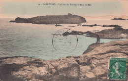 83 / SAINT RAPHAEL / LE LION DE TERRE ET LE LION DE MER / ANIMEE COLORISEE - Saint-Raphaël