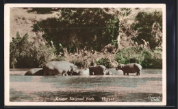 AK Kruger National Park, Nilpferde  - Autres & Non Classés