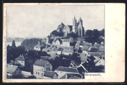 AK Breisach, Teilansicht Mit Kirche  - Breisach