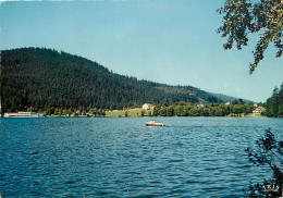 88 - Gérardmer - Le Bout Du Lac - Carte Neuve - CPM - Voir Scans Recto-Verso - Gerardmer