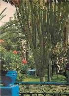 Maroc - Marrakech - Jardin Les Majorelles - CPM - Voir Scans Recto-Verso - Marrakesh