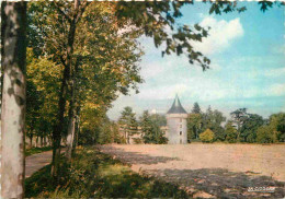 42 - Loire - Château De Boisy - Carte Dentelée - CPM - Voir Scans Recto-Verso - Autres & Non Classés