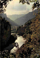 48 - Les Gorges Du Tarn - Le Tam à La Sortie Des Détroits - Flamme Postale - CPM - Voir Scans Recto-Verso - Gorges Du Tarn