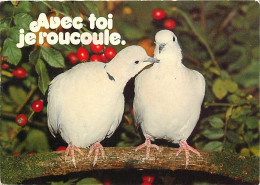 Animaux - Oiseaux - Tourterelles - Carte Humoristique - CPM - Voir Scans Recto-Verso - Birds