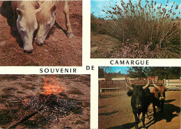 Animaux - Chevaux - CPM - Voir Scans Recto-Verso - Paarden