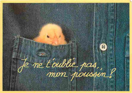 Animaux - Poussins - Poussins - Thème De Pâques - CPM - Voir Scans Recto-Verso - Other & Unclassified