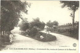 Les Echarmeaux Croisement Des Routes De Lamure Et De Ranchal - Other & Unclassified