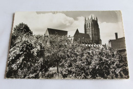 Aire Sur La Lys La Collegiale 1959 - Aire Sur La Lys