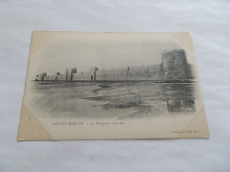 AIGUES MORTES ( 30 Gard ) LES REMPARTS COTE SUD  BELLE VUE GENERALE  CPA PRECURSEUR - Aigues-Mortes