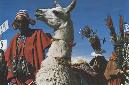 X115079 BOLIVIE BOLIVIA LLAMA LAMA CON INDIGENA - Bolivien