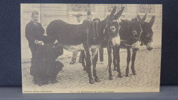 3159 . 3 CARTES . MARCHAND DE LAIT D'ANESSE . LE CHEVRIER . TOULOUSE , LA GARE MATABIAU  . REPRODUCTION - Autres & Non Classés