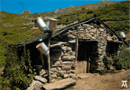 65 PYRENEES CABANE DU BERGER - Other & Unclassified