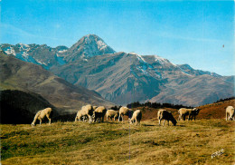 65 COL D'ASPIN - Other & Unclassified