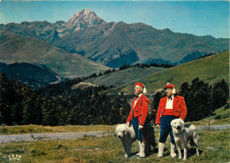 65 CHIEN DES PYRENEES FOLKLORE - Other & Unclassified