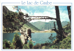 65 CAUTERETS LE LAC DE GAUBE - Cauterets