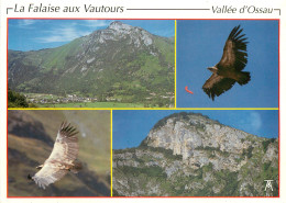 64 VALLEE D'OSSAU FALAISE AUX VAUTOURS - Autres & Non Classés