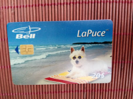 Phonecard Canada Dog Used Only 10.000 Ex Made Rare - Canada