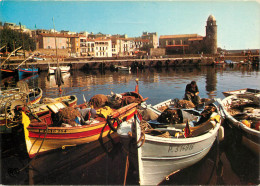 66 COLLIOURE - Collioure