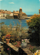 66 COLLIOURE - Collioure