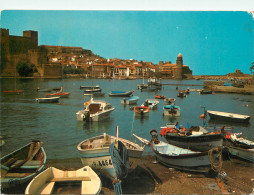 66 COLLIOURE - Collioure