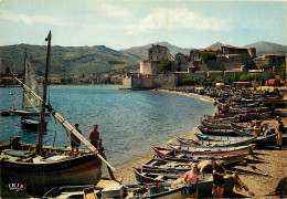 66 COLLIOURE - Collioure