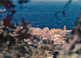 66 COLLIOURE - Collioure