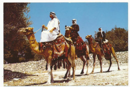 CPSM 10.5 X 15  Israël (104) Beduins On A Camel  Bédouins Sur Leur Chameau  Dromadaire - Israël