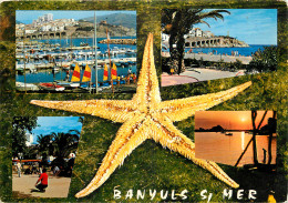 66 BANYLUS SUR MER - Banyuls Sur Mer