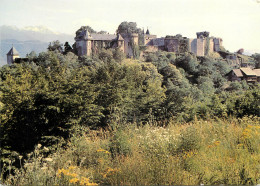 73 SAINT PIERRE D'ALBIGNY CHÂTEAU DE MIOLANS - Saint Pierre D'Albigny