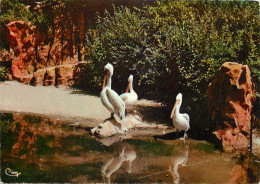 69 LYON  PARC DE LA TETE D'OR LES PELICANS - Autres & Non Classés