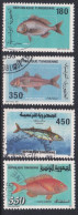 Fish - 1991 - Tunisie (1956-...)